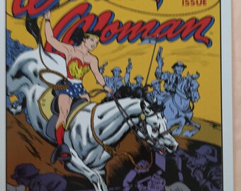 Wonder Woman, Cover #1, metal sign, 12 x 16, USA V2086