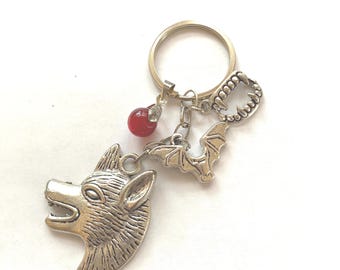 Twilight theme, Vampire, Inspired, Key Ring, Chain  KC2