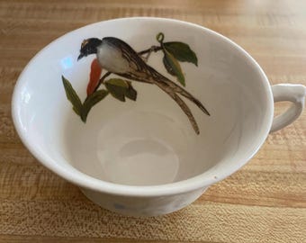 Alfred Meakin, Forked Tail Flycatcher, CUP, 1940s