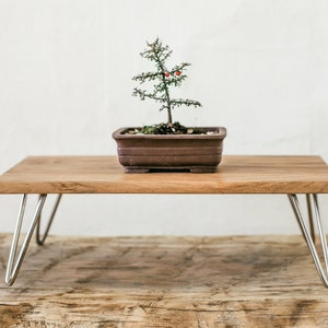 Modern Natural Wood Mid Century Bonsai or Terrarium Table image 1