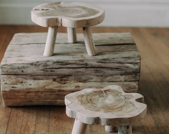 Bonsai or Terrarium Stool Rustic Natural Wood