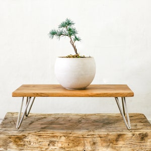 Modern Natural Wood Mid Century Bonsai or Terrarium Table image 4