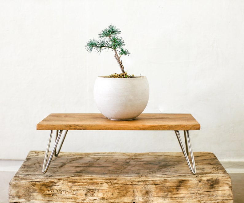 Modern Natural Wood Mid Century Bonsai or Terrarium Table image 4