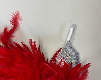 rhinestone bra, show costume, feather bra, show costumes and accessories