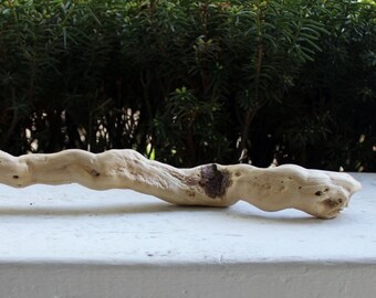 Thick Wavy 15" Driftwood Piece for Bohemian Decor , Beach Decoration and Natural Art Supply