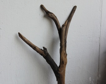 Driftwood for Terrarium and Jewelry Photo Prop 7 1/4" , Drift Wood Sculpture , Natural Craft Supply