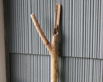 Rustic Driftwood Letter Y , 11 3/4" Drift Wood Cactus , South Western Jewelry Photo Prop
