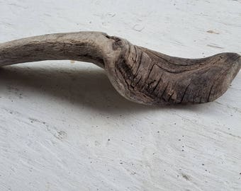 Curved Textured Driftwood Piece , coastal Accent , Drift wood Decor , naurical art
