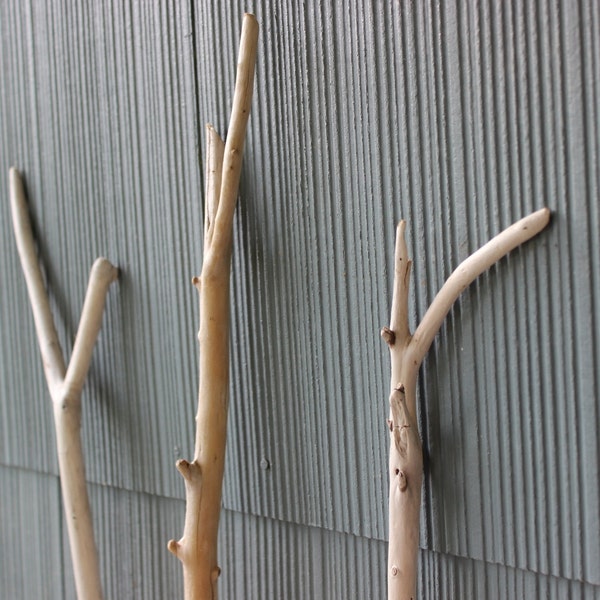 Wishbone Driftwood Branches Set of 3 Surf Tumbled Beach Decor Unique Vase Filler