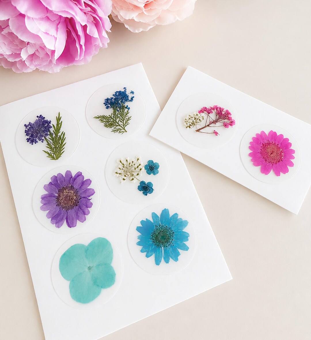 Real Pressed Flower Stickers Set of 8, 32mm Round Floral Botanical ...
