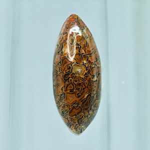 Puede incluir: Un cabujón de ágata marrón y negro con un patrón único y arremolinado. La piedra está pulida y tiene un acabado liso y brillante.