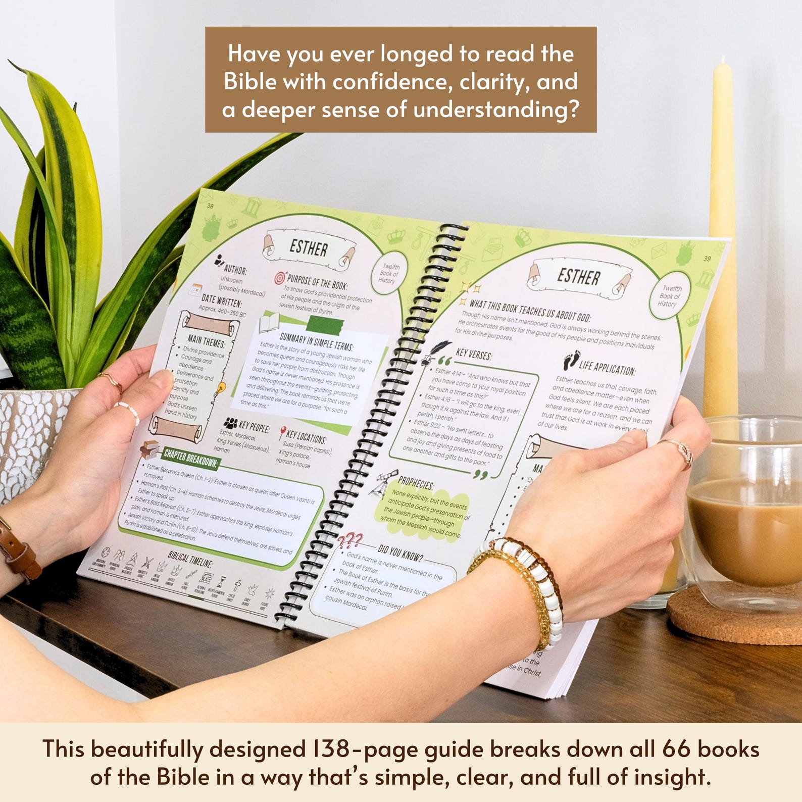 Entire Bible Made Simple Book, Intermediate Beginner Bible Study Guide ...