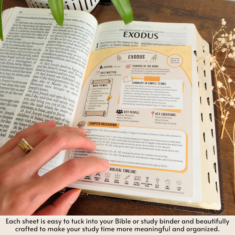 Puede incluir: Biblia abierta en el libro del &Eacute;xodo, con una gu&iacute;a de estudio. La gu&iacute;a incluye temas clave, personajes y lugares. El texto est&aacute; en ingl&eacute;s. Tambi&eacute;n hay una l&iacute;nea de tiempo.