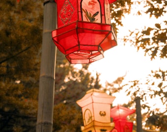 Chinese lanterns, garden, urban print, fall, twilight, yellow, red, orange, gold - "Autumn lanterns"