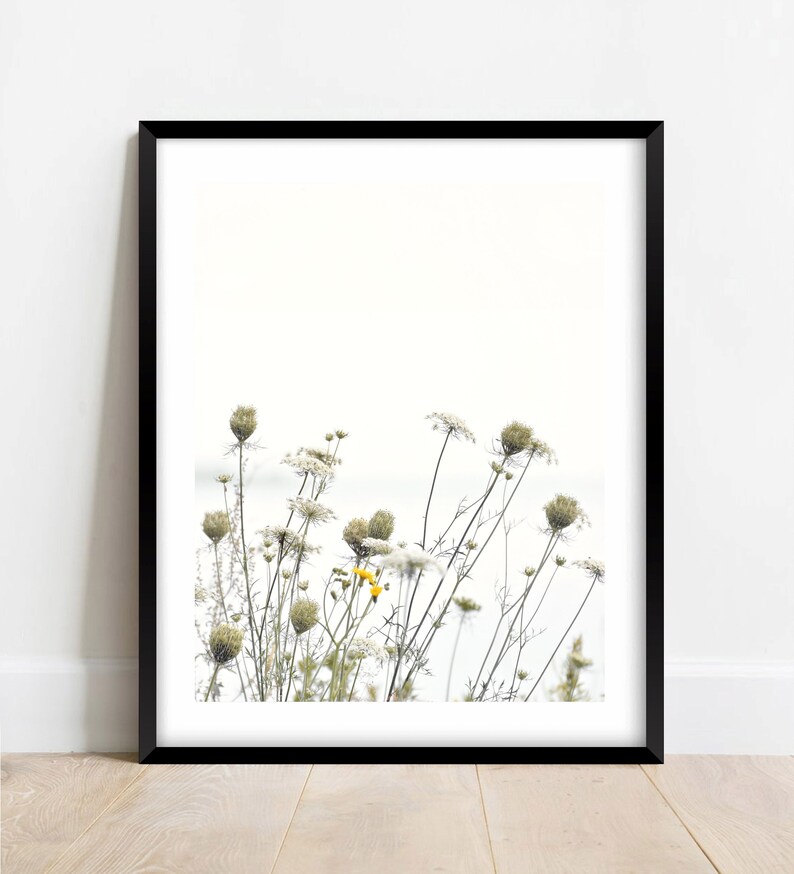 Photographie de fleurs sauvages, impression de la nature, art mural botanique, blanc, pastel, art floral, minimal Spring meadow image 2