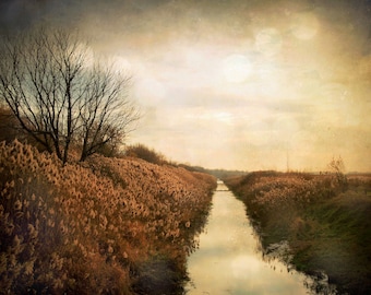Photographie de paysage, impression rustique, automne, marron, jaune, sépia, or, prairie, nature, bokeh, arbres - "Autumn Creek"