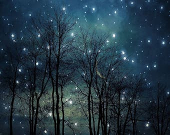 Surreal landscape photography, midnight blue, dark, black, forest, night sky, stars, dreamy, trees, nature, winter - "Starry night"