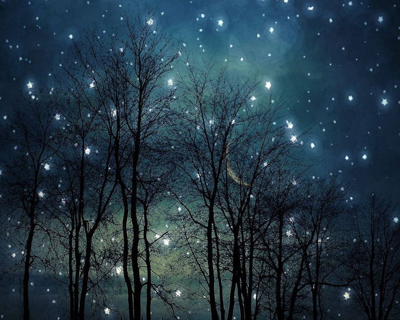 Surreal landscape photography, midnight blue, dark, black, forest, night sky, stars, dreamy, trees, nature, winter Starry night image 1