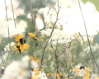 Wildflower photography, botanical print, spring decor, blossoms, floral wall art, meadow - "Lazy days of spring"