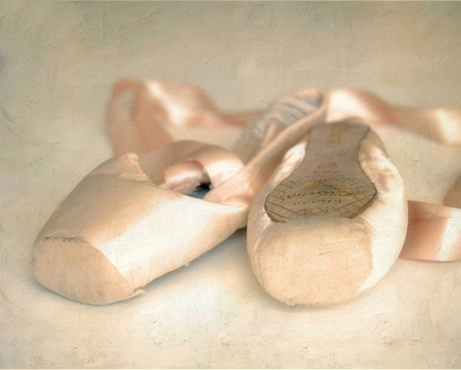 ballet shoes pastel pink romantic dreamy pointe shoes shabby chic girls room - 