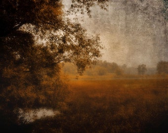 Autumn landscape photography, dark, rustic, dreamy, woodland, nature, forest, trees, meadow, brown, orange  - "Morning walk"