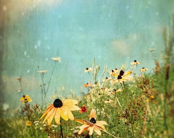 Floral photography, flower print, wild flowers, botanical wall decor, rustic farm print, yellow, blue - "Summer breeze"