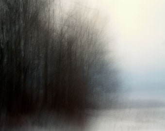 Surreal landscape photography, trees, dark, forest, blue, black, dreamy, woodland, nature print - "Awakening"