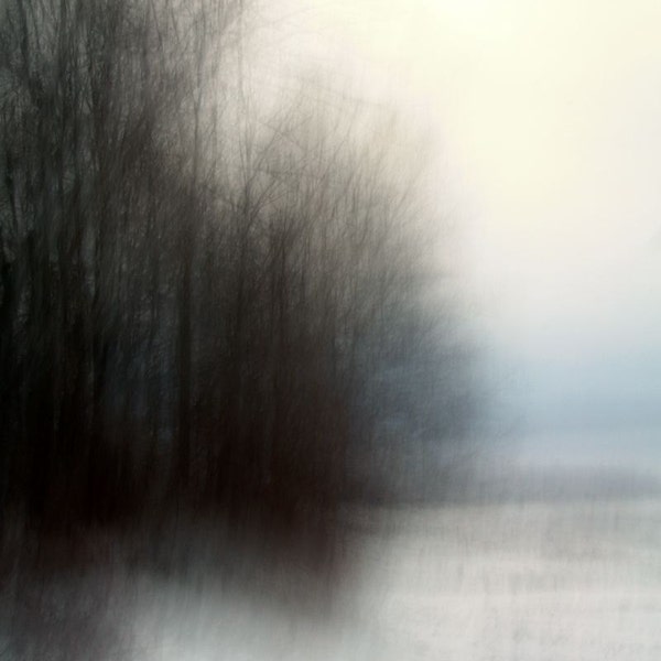 Surreal landscape photography, trees, dark, forest, blue, black, dreamy, woodland, nature print - "Awakening"