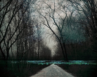Surreal photography, abstract print, dark, forest, woodland, bare trees, road, black, blue, gothic decor -  "Shimmer"