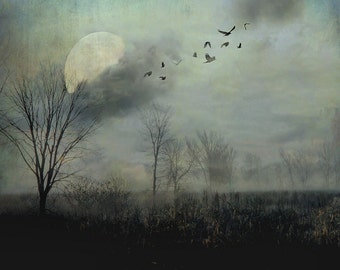 Surreal landscape photography, trees, full moon, haunted, woodland,, birds, gothic decor, dark, grey, black  - "Night flight"