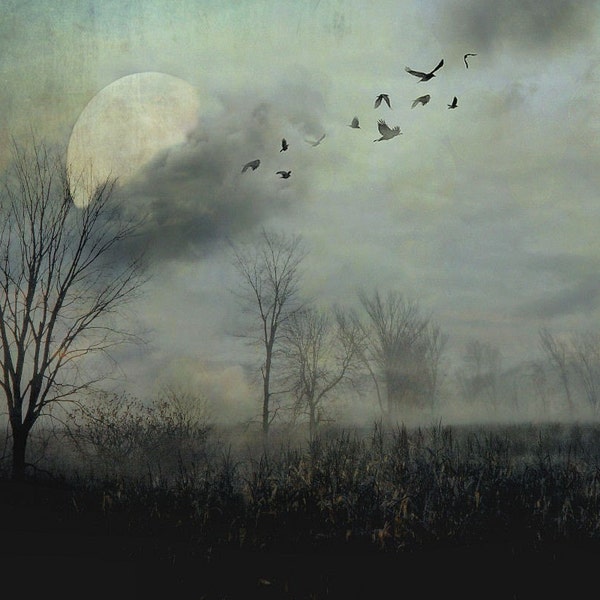 Surreal landscape photography, trees, full moon, haunted, woodland,, birds, gothic decor, dark, grey, black  - "Night flight"