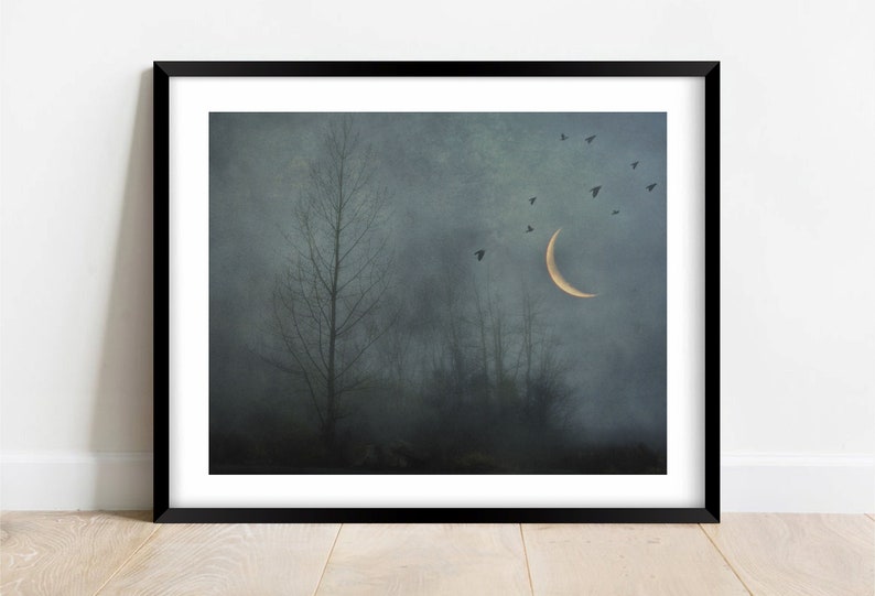 Surreal landscape photography, rustic decor, birds, crescent moon, trees, gothic, surreal, grey, forest, woodland, night Dark solitude image 2