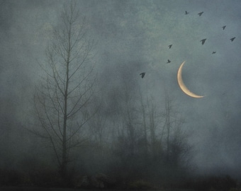 Surreal landscape photography, rustic decor, birds, crescent moon, trees, gothic, surreal, grey, forest, woodland, night - "Dark solitude"