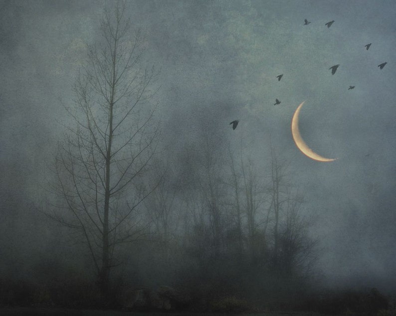 Surreal landscape photography, rustic decor, birds, crescent moon, trees, gothic, surreal, grey, forest, woodland, night Dark solitude image 1