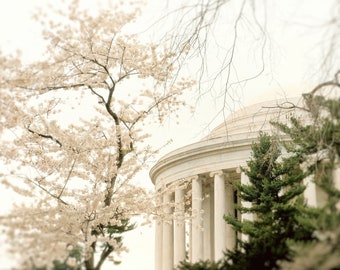 Washington DC print, cherry blossom photography, spring decor, tidal basin, architecture - "Thomas Jefferson Memorial"