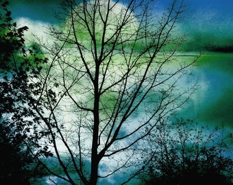Dark landscape photography, full moon, bare branches, trees, silhouette, woodland, nature, blue, black - "Into the blue"
