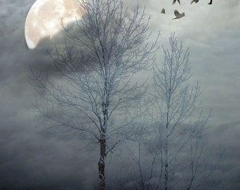 Landscape photography, winter, dark, dreamy, blue, trees, full moon, snow, birds, ice, nature  - "Winter Moon"