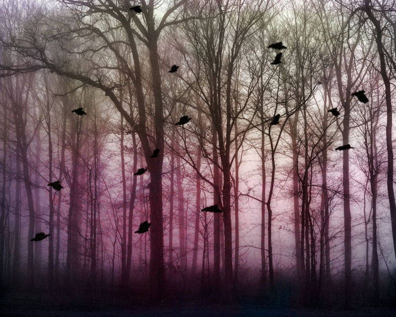 Landscape photography, surreal print, pink, blush, mauve, trees, nature print, birds, forest, woodland, dreamy, dark Magenta forest image 1