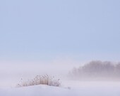 Landscape photography nature pink blue mauve lake dreamy - "Winter morning" 8 x 10