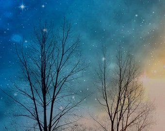 Landscape photography, trees, nature, woodland, silhouette, dreamy, stars, dark, blue, navy - "Dreams by night"
