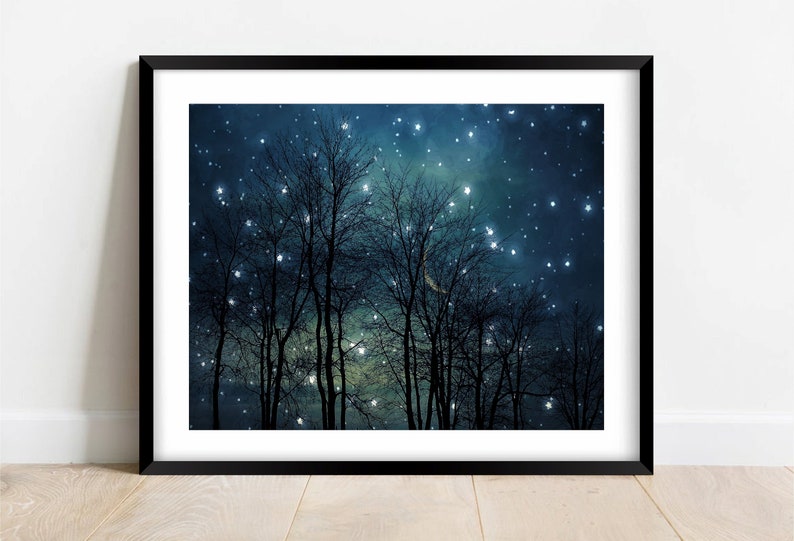 Surreal landscape photography, midnight blue, dark, black, forest, night sky, stars, dreamy, trees, nature, winter Starry night image 2