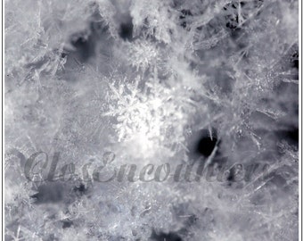 SNOWFLAKES - Set of 3 Fine Art Photography Notecards - each different macro close up of snowflakes for Christmas or Winter greeting