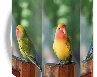 MUG SHOT Lovebird Unique Ceramic Photo Mug - Coffee Mug- in 2 sizes