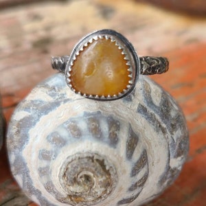 Rare Triangle Caramel Oregon Beach Agate Handcrafted Custom Silver Twist Band Ring Size 10 by Seahag101