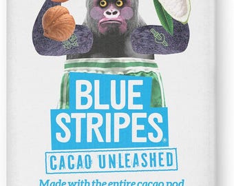 Blue Stripes Whole Cacao Hazelnut Butter Chocolate Bar 2.1 OZ PACK 12