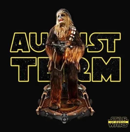 chewbacca sex doll Mattel Star Wars Chewbacca Stuffed Animals and Plush Toys