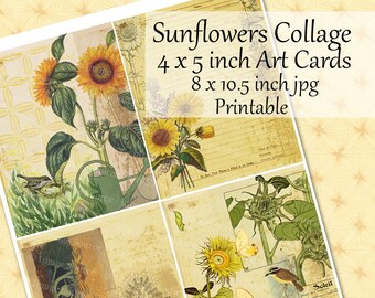 Sunflowers Collage Art Cards, Journal Pages, Scrapbook Backgrounds, Nature Ephemera Printable Collage Sheet