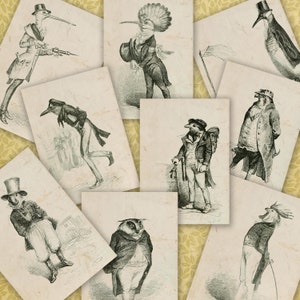 Strange Birds Anthropomorphic Cards Printable,  Digital Collage Sheet, ATC size  Funny Bird Cards Download