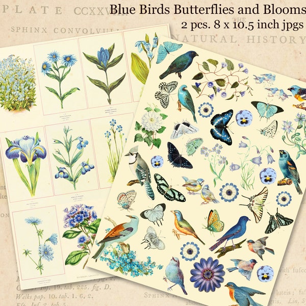 Little Blue Birds, Butterflies and Blooms, Cottage Garden Printables, Set of 2 Digital Collage Sheets