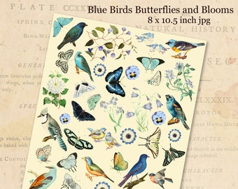 Little Blue Birds, Butterflies and Blooms, Cottage Garden Nature Printables, Digital Collage Sheet